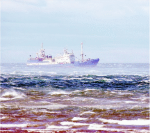 Vientos de hasta 106 km/h azotaron a Punta Arenas y retrasaron zarpes