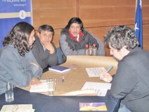 Consejo de la Cultura realizará consulta ciudadana