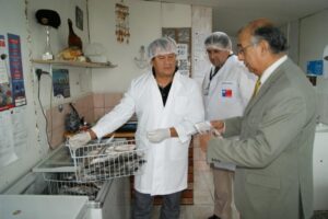 Gobernador junto al jefe del servicio salud fiscalizan pescaderías en Puerto Natales