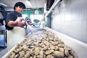 Precios de pescados y mariscos han subido en torno a un 30%