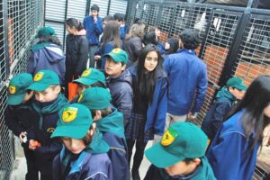 Municipio invierte más de $ 350 millones en centro canino