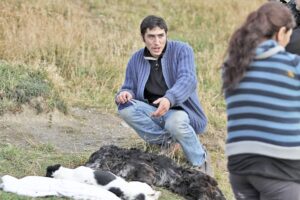 Atacan a perros con  veneno y a machetazos