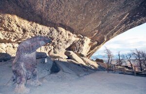 Proyecto permite monitorear fauna en Cueva del Milodón