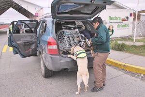 Llaman a declarar productos