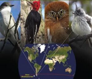 En Texas presentaron libro que estudia longevidad de las aves australes del Parque Omora