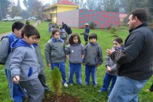 Niños plantarán especies arbóreas aportadas por Conaf