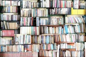 ”Regala un libro para el Centro de Detención Preventivo de Porvenir”