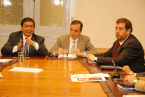 Interponen segundo recurso en contra de seremi de BB.NN.