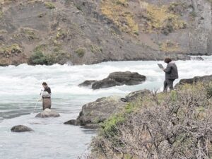Primer análisis de las aguas del Paine descarta Didymo