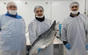Sercotec busca potenciar a MIPES del sector salmonero