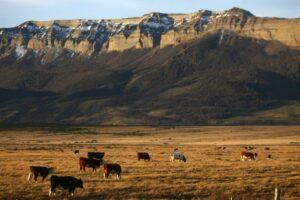 Indap hace llamado a organizaciones campesinas de Magallanes