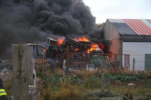 Incendio de vehículos movilizó a Bomberos