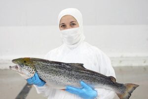 Buscan instalar centro de engorda de salmones en Río Verde
