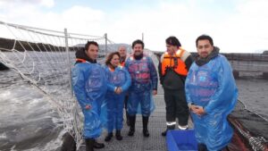 Comisión de Medio Ambiente del CORE visitó piscicultura y planta procesadora de Salmones Magallanes