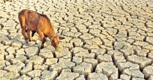 Crean el primer laboratorio para frenar escasez de agua y alimentos
