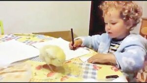 Video: Los tiernos reclamos de una niña porque un 