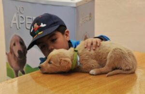 Invitan a primera jornada de adopción canina en Centro de Rescate