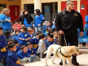 Talleres de caninoterapia apoyan rehabilitación de niños y jóvenes con capacidades diferentes