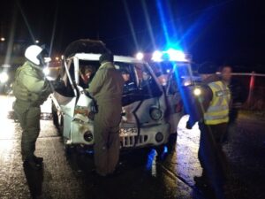 Camión de transporte ligero choca con animal en el Kilómetro 7 y medio