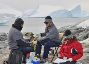Reportan primer virus de influenza aviar en pingüinos antárticos