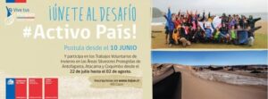 Injuv y Conaf llaman a jóvenes a postular a los Trabajos Voluntarios de Invierno