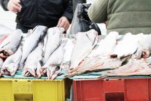 Bajo consumo de pescados y mariscos:  un problema de hábito alimenticio