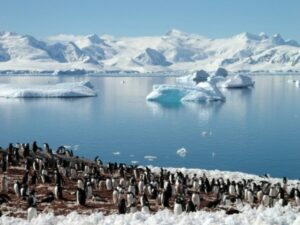 Participa del concurso “Punta Arenas Pinta su Mar