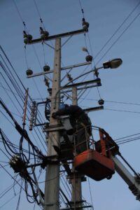 Ave causó corte eléctrico que afectó a clientes de Cerro Mirador