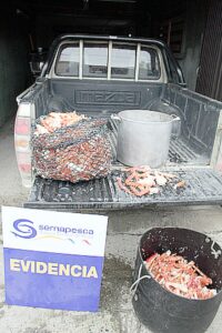 Detenido con centolla en veda