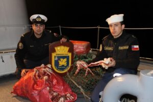Decomisan cerca de media tonelada de centolla