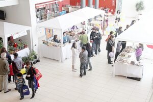 Fosis dio a conocer resultados de programas de  emprendimiento