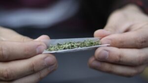Gobierno mira con cautela iniciativas a favor de la marihuana