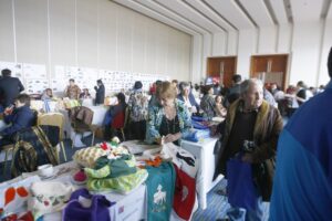 Magallanes: mayores de 60 llegan al 20% y  región tiene el mayor índice de envejecimiento