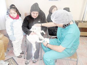 Últimos cupos  para operativo  de esterilización  animal