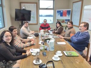 Monitorean impacto de la nieve en  el sector ganadero de Magallanes