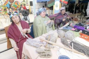 En pocos días se inaugura la  III Expo Indígena en la Patagonia