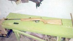 Chilenos detenidos por abigeato en Perito Moreno