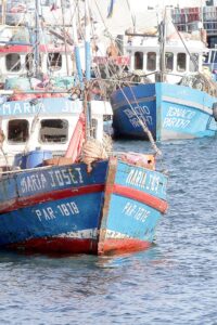 Pescadores en alerta por caducidad de 600 matrículas