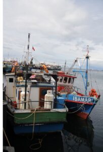 Pescadores: “El Gobierno se está buscando un gran conflicto al caducar matrículas”