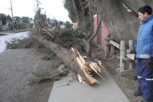 Levantan Alerta Temprana  Preventiva  por viento
