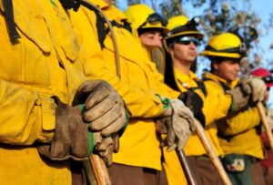 Conaf prepara brigada para enfrentar megaincendios