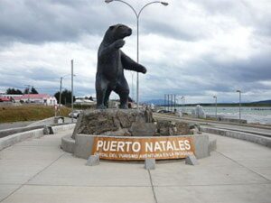 Roban desde un patio a costoso perro