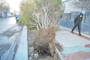 Pronostican rachas de hasta 100 km y mantienen Alerta Temprana