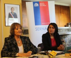 Directora del Sernam llama a celebrar sin violencia contra las mujeres
