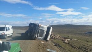Volcamiento de camión en Tierra del Fuego dejó mortandad de animales