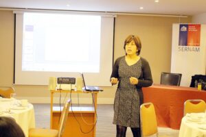 En 2013 hubo 795 denuncias por violencia intrafamiliar en Magallanes