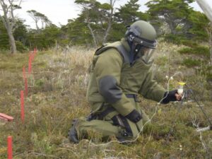Infantes de Marina retoman labores de desminado humanitario en Isla Picton
