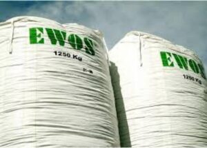 Empresa noruega Ewos compra Novaustral e ingresa a la salmonicultura local