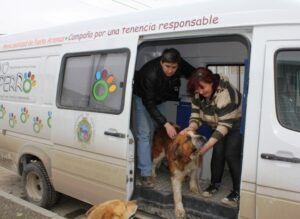 Importante aumento registra la atención veterinaria municipal