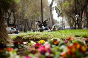 Especialista entrega recomendaciones para combatir las alergias primaverales